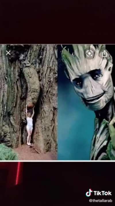 Si
