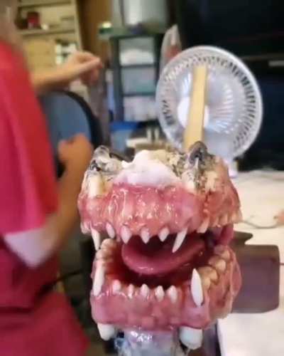 Mouth evolution