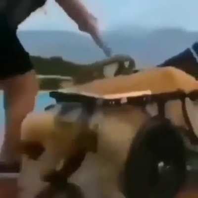 Espero que esté bien