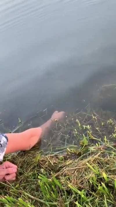 Fishing beyond patience