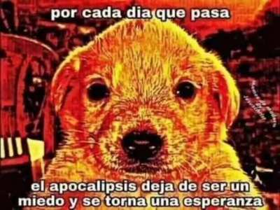 siono banda 😐