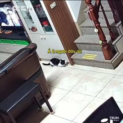 Mission failed. We will get em' next time...