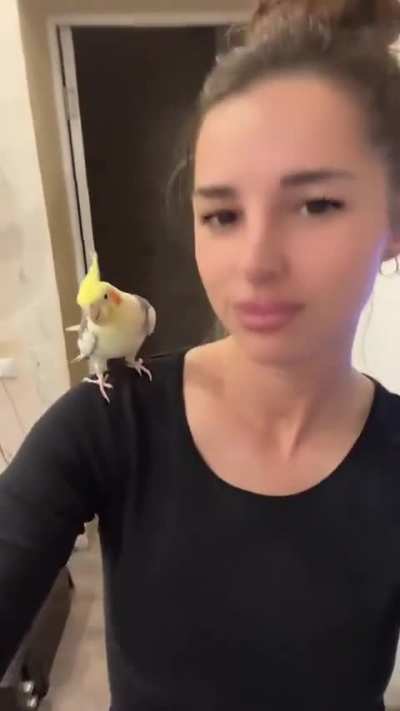The perfect duet