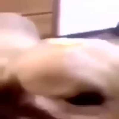 E o chorro de cyberpunk (se você não entedeu é porque vc nunca ouvio falar de cyberbug 2077)