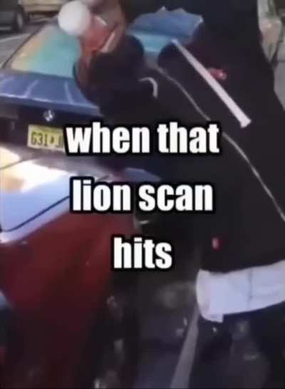 lion