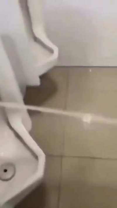 That's not how it should work