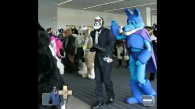 Spy mains in their natural habitat