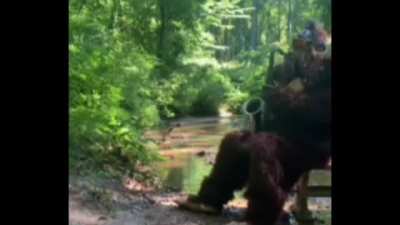 Well that's weird it's a bigfoot playing a sax