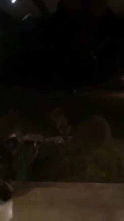 Lucky family seeing a kill right outside their window. Somewhere in South Africa