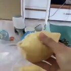 Cat smelling Durian