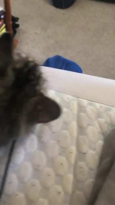Wait for it