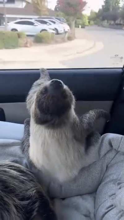 Enjoying his ride