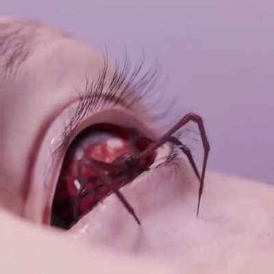 Speyeder