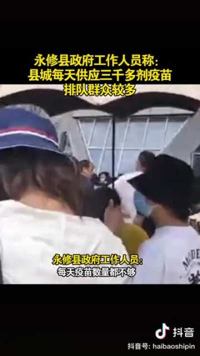 芝麻猪怎么这么怕死