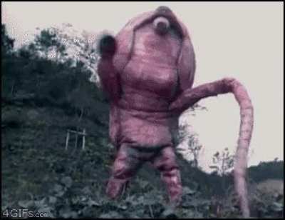 Cursed_WTF