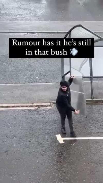 Push into bush