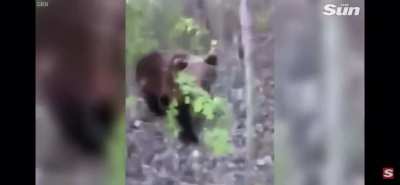 (almost) killed the cameraman