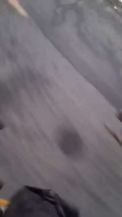 Being chased by princess & cupcake 