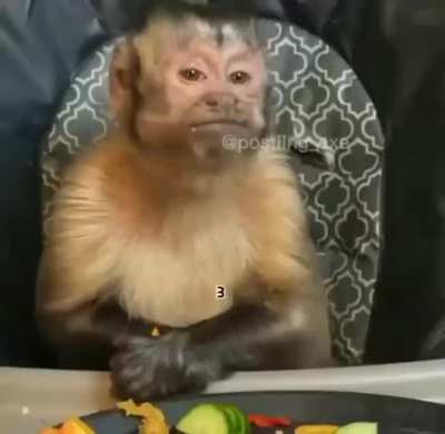 Mono 🐒