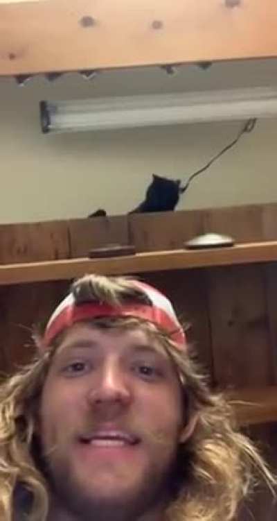 What a cute cat