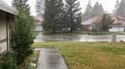 Northern California rain. Nothing better in the world. I wish it was like this every day.