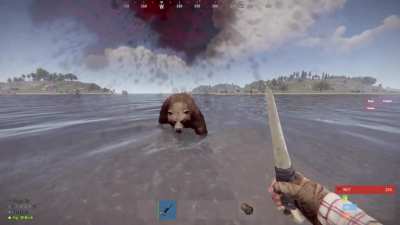 I thought he was going to keep running :(