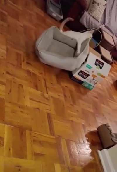 Вот дерьмо