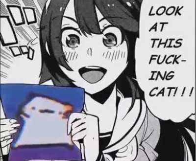 Fucking rule
