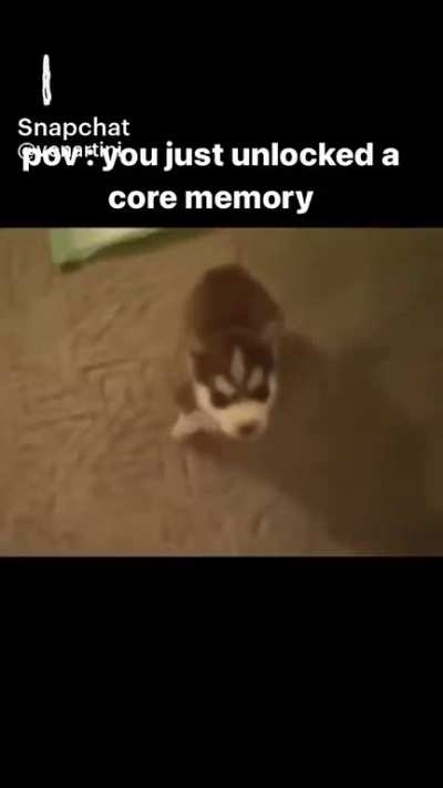 Woof wait no F-