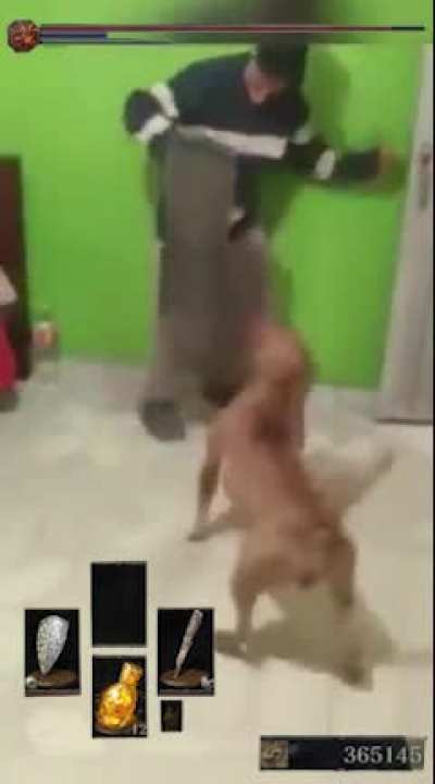 credit to u/des<wbr>ignyg<wbr>ued3s for the original video, found in r/ItH<wbr>adToB<wbr>eBraz<wbr>il