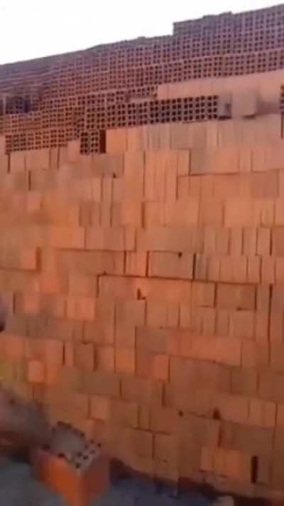 Brick Ninja