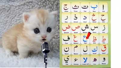 🎤🐈