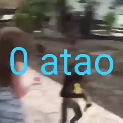 0 atao