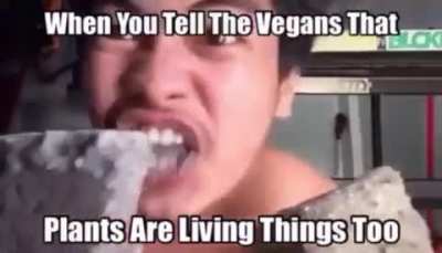 Upvote so Jake can see