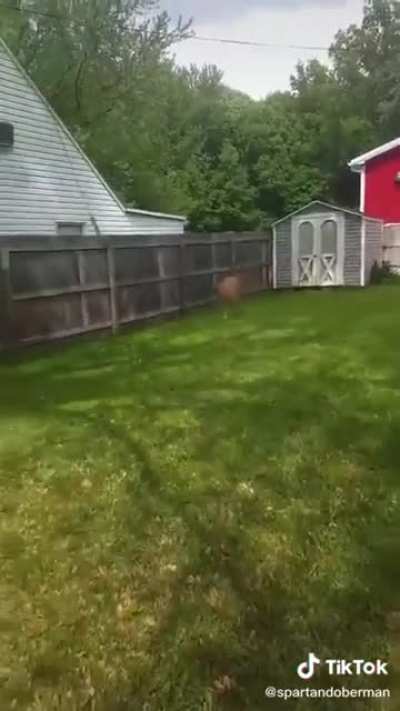 Just trying to help her escape