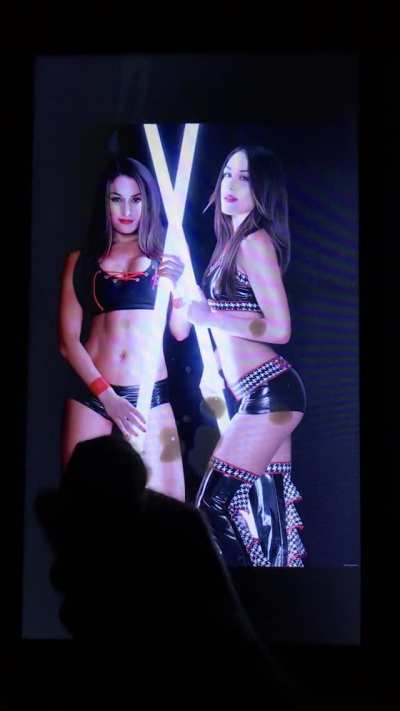 [POLL WINNERS] Bella Twins Cumtribute