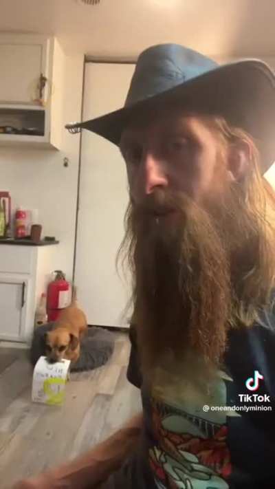 Man steals gold from dog instant karma ensues