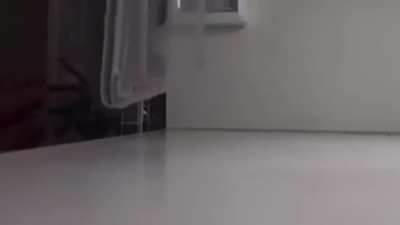 Trying to capture a spider.