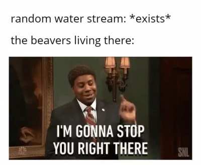 Prepare yourself Mr. Stream