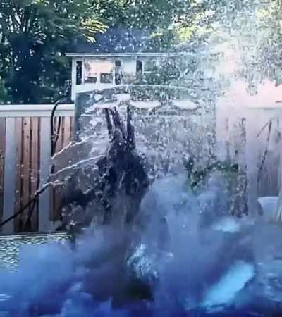 Gigan dies