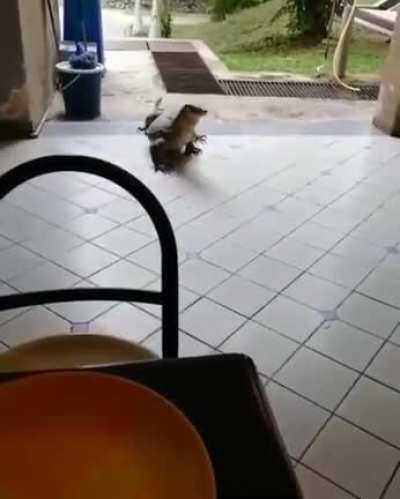 Proof that we can coexist with them