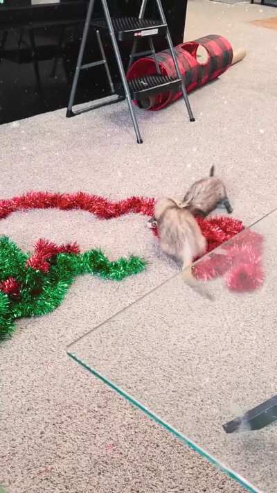My little mischievous elves