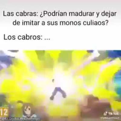xd
