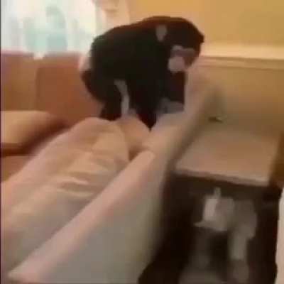 E é isso