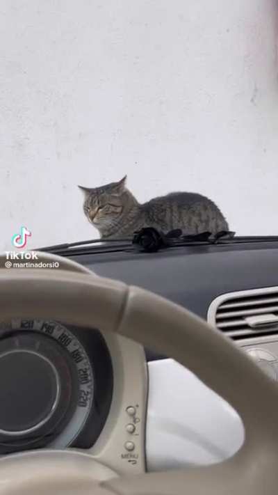 beep