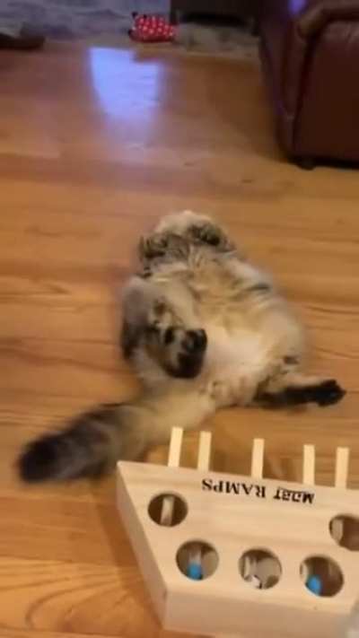 It's too Much Effort