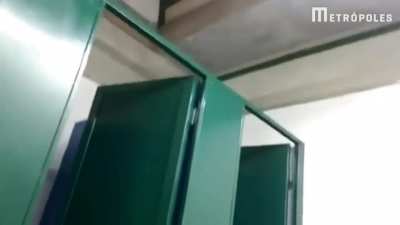 Onça parda encontrada dentro do vestiário do ginásio da escola em Minas Gerais