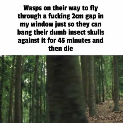 W*sps