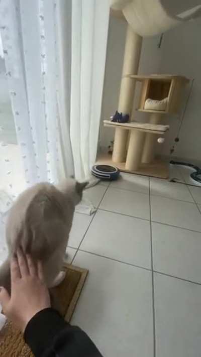 So slow motion