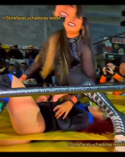 Ashley Revenge Facessiting